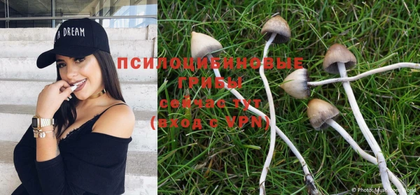 прущая мука Балабаново