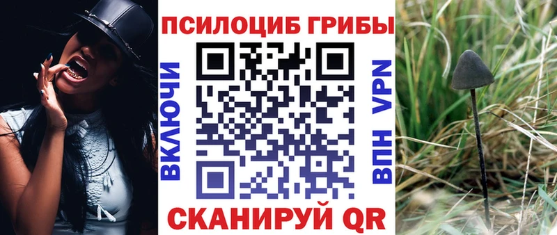 Псилоцибиновые грибы прущие грибы  Глазов 